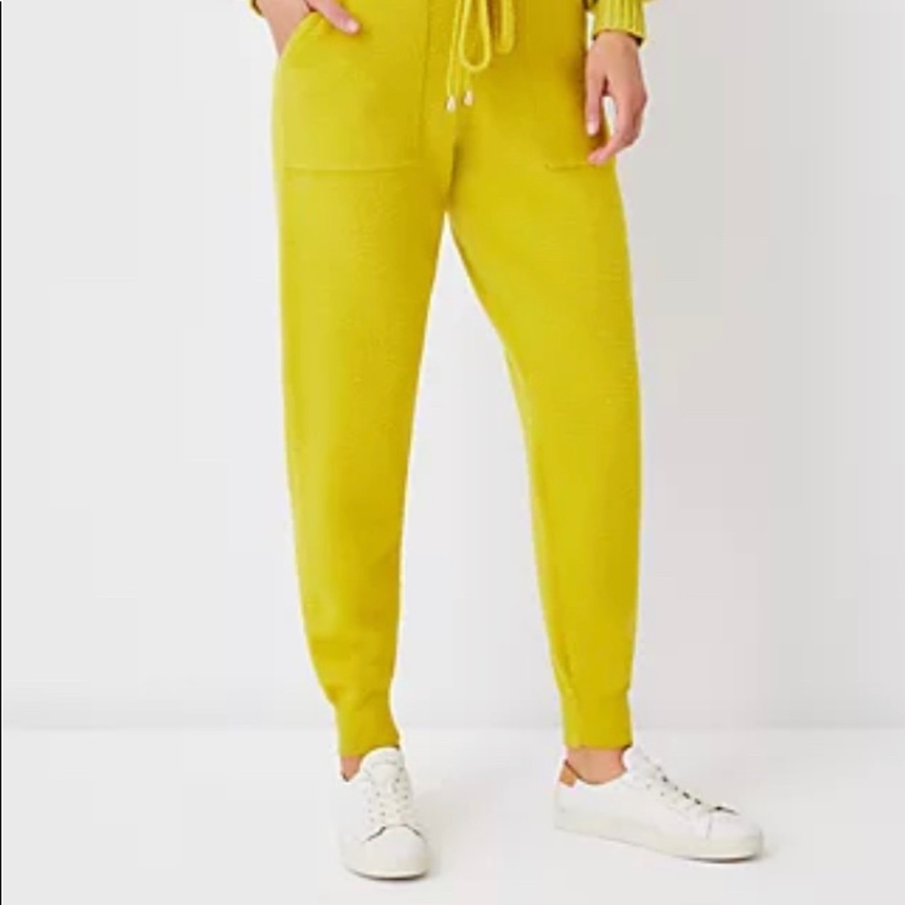 Ann Taylor Sweater Jogger Pants (XL)